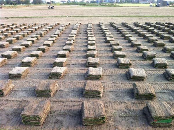 百慕大(天堂328)-08