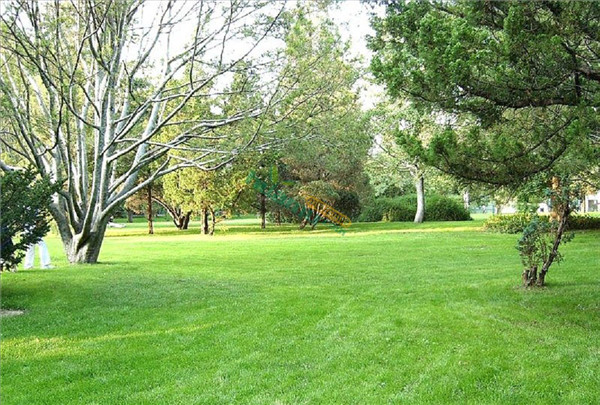 百慕大(天堂328)-07