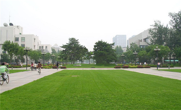 百慕大(天堂328)-06