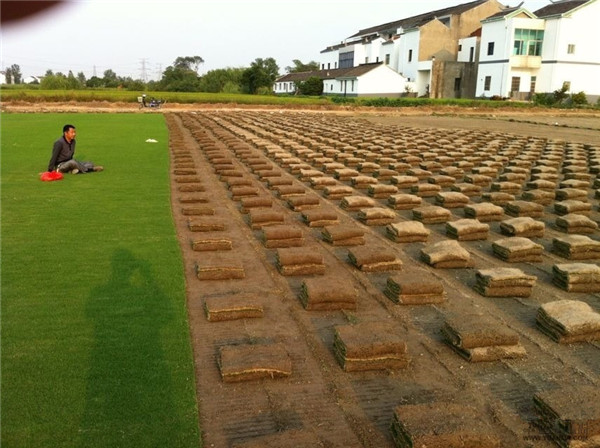 百慕大(天堂328)-05