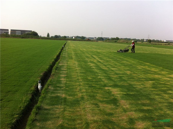 百慕大(天堂328)-03