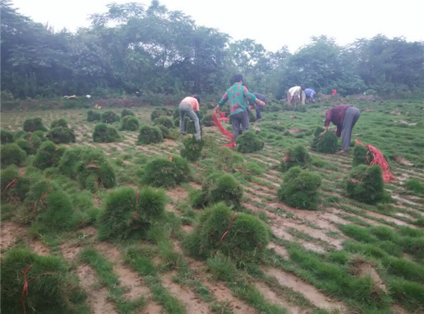 百慕大(天堂328)-02