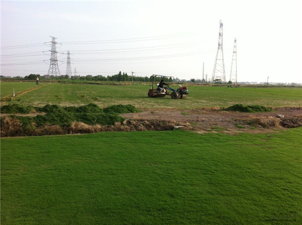 百慕大(天堂328)-01